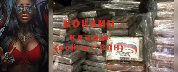 соль ск Алексин