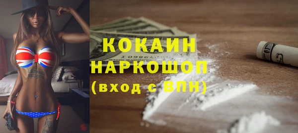 соль ск Алексин