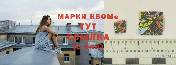 индика Алзамай