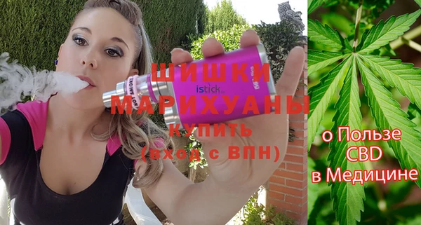 индика Алзамай