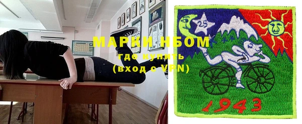 индика Алзамай