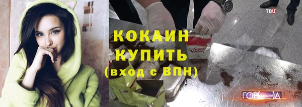 индика Алзамай