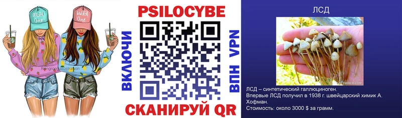 цены наркотик  Самара  Галлюциногенные грибы Cubensis 